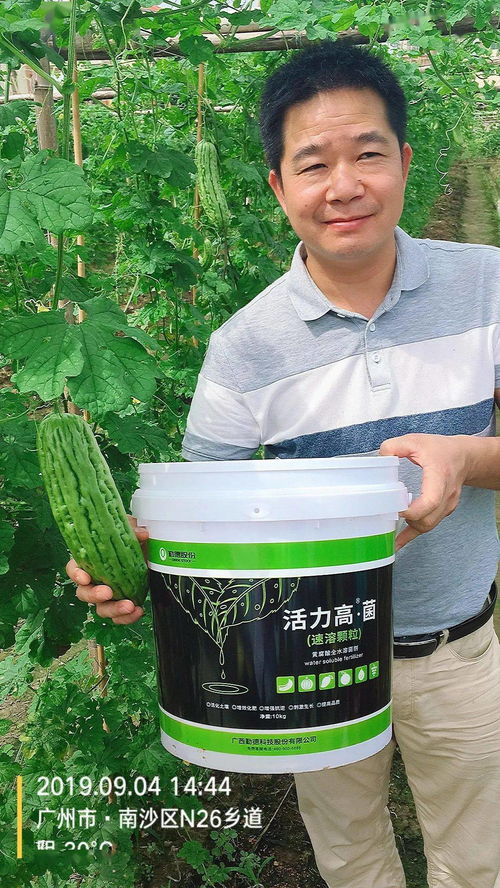 三效合一，增效顯著 活力高R菌、黃腐酸、魚蛋白復(fù)合菌劑引領(lǐng)微生物肥料新突破